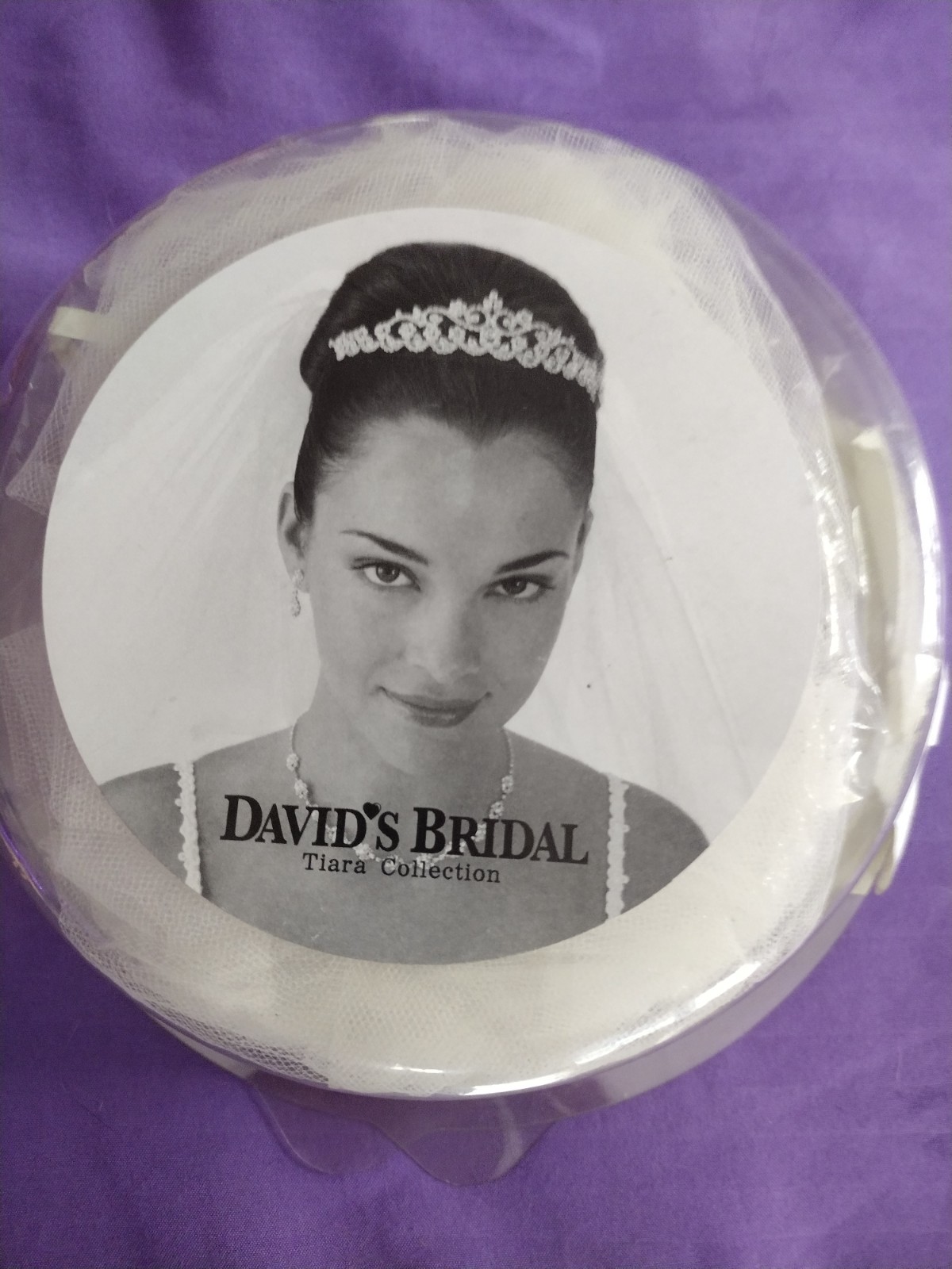 David's Bridal Wedding Dress Size 22 W with Under Slip size L and Bridal Vail