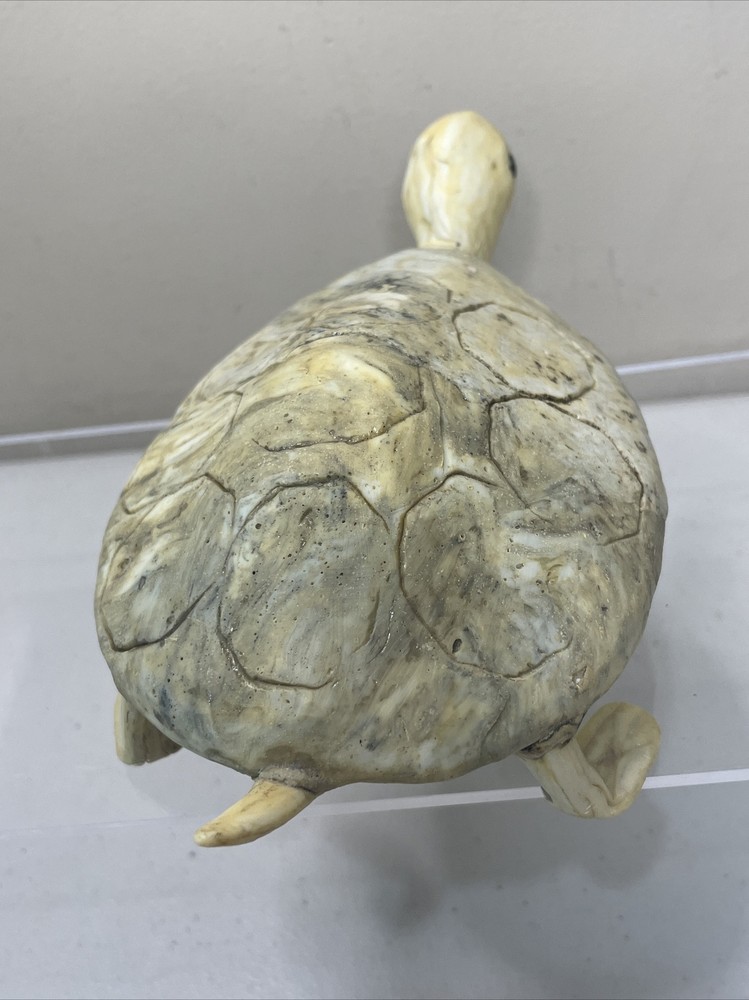Handmade Pottery Turtle Figure Marbled Color
