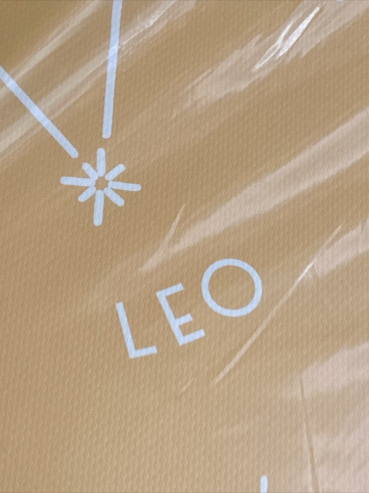 Punch Studio Astrology Sign Notebook- Leo