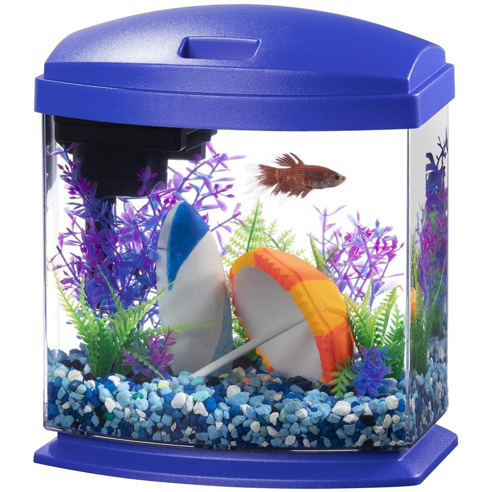 Blue Small Fish Tank with SmartClean Technology.