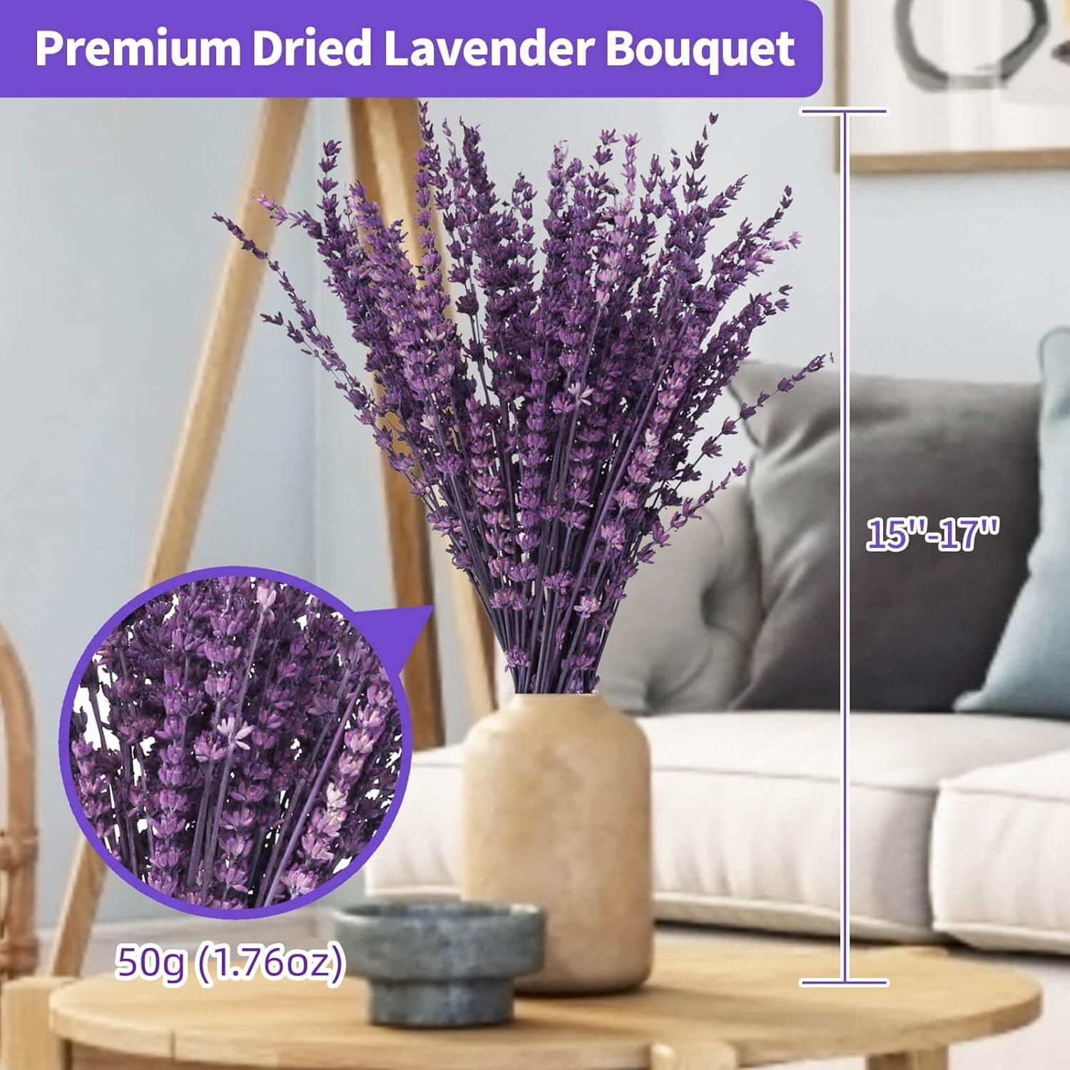 Dried Purple Lavender Flowers Bundle-Dried Preserved Lavender Bouquet 15-17" for