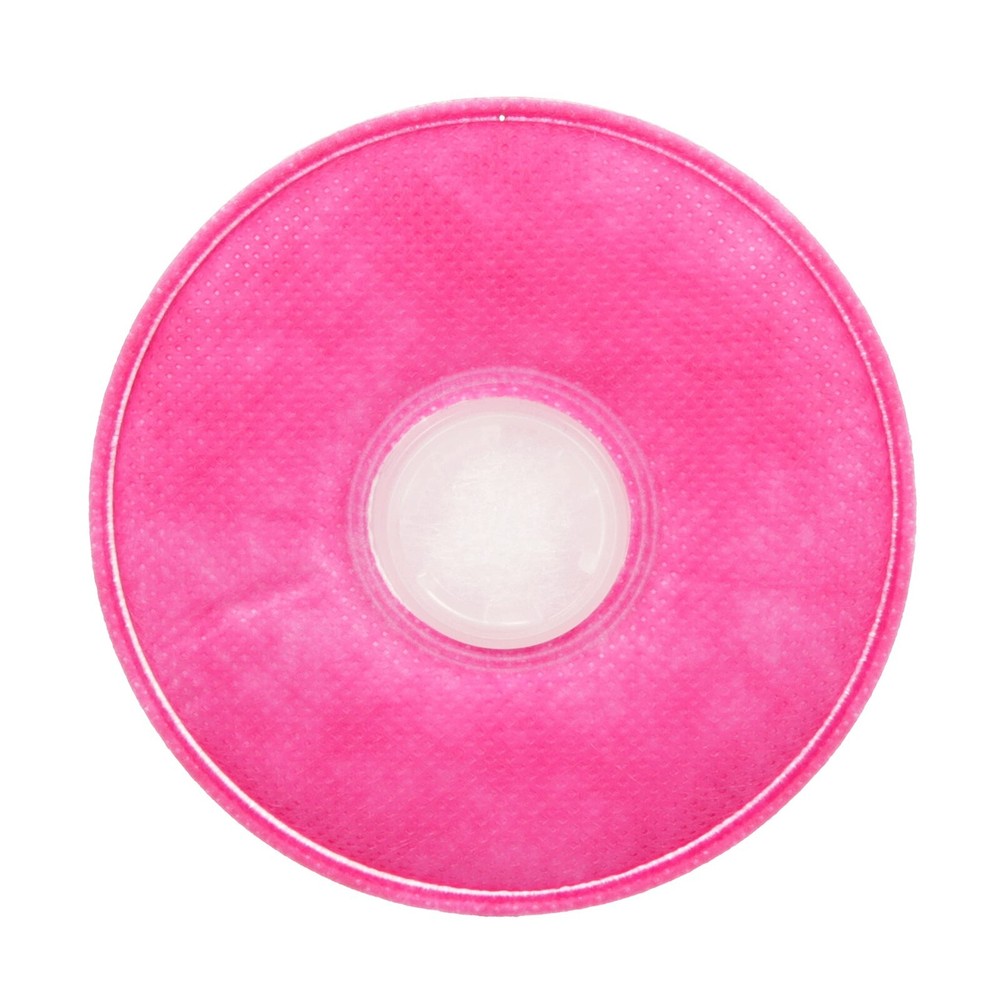 3M 2091 P100 Particulate Filter, 1 Pair