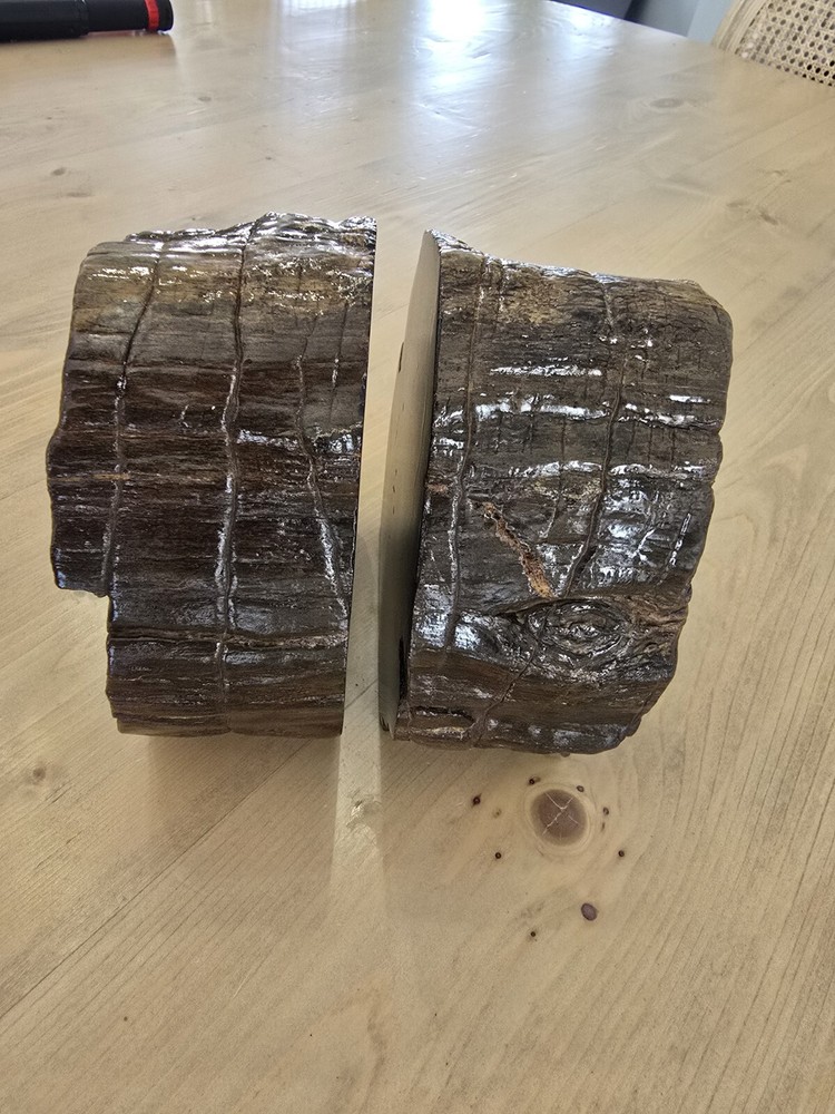 Petrified Wood Book Ends Glossed