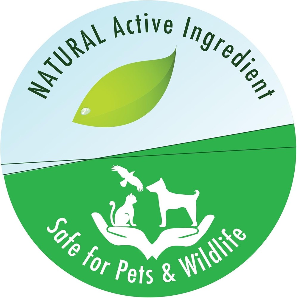 API POND SALT Pond Water Salt 4.4-Pound Container (156C) 1