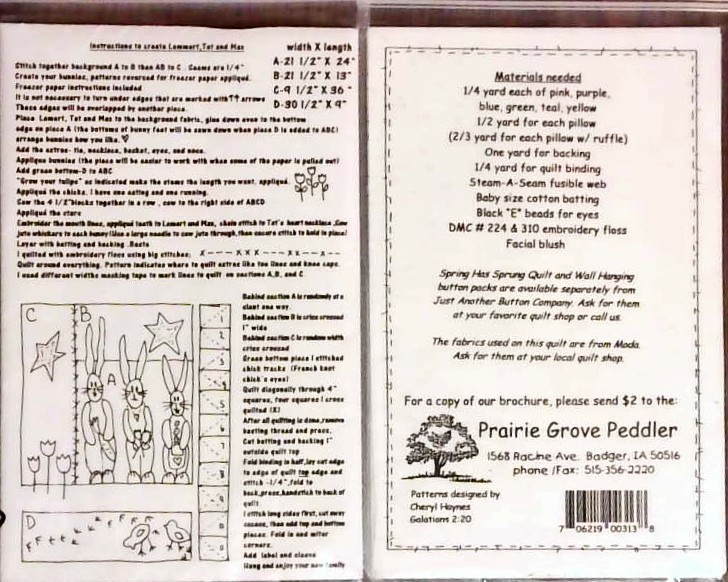 2 EASTER BUNNY quilt patterns Hoppity Hippity shooting star & Spring Has Spring