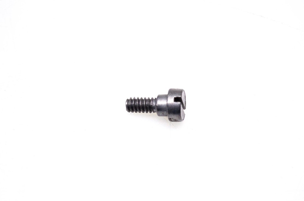 OMC 309816 Screw NOS
