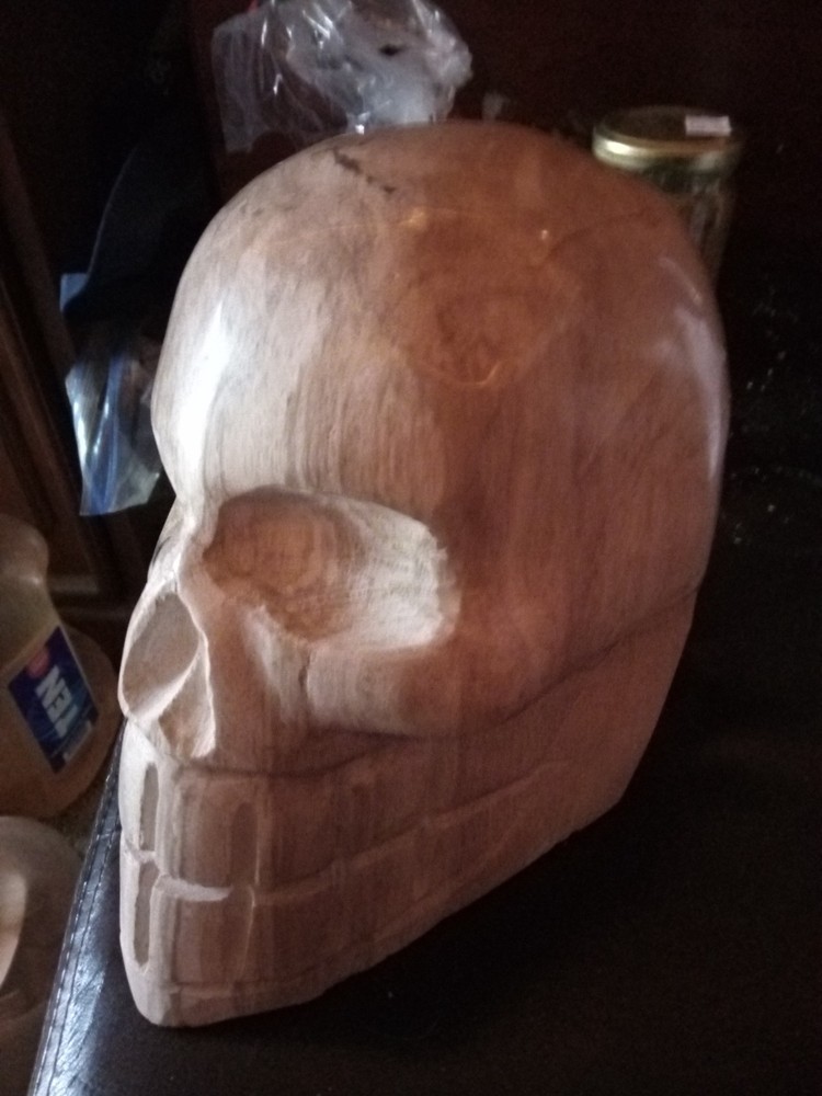 XL Petrified Wood Skull