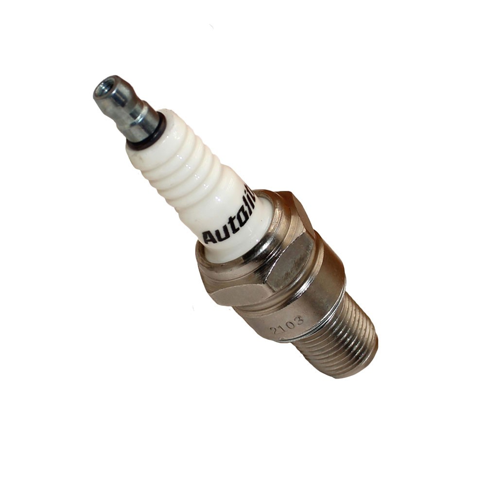 A-405 Spark Plug