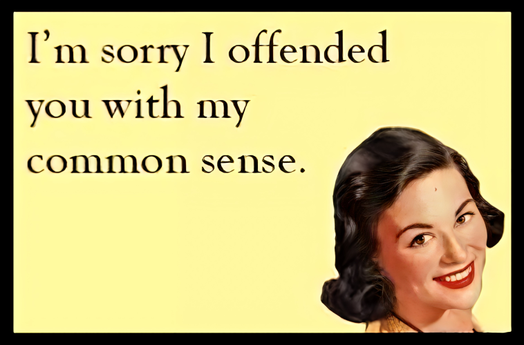 I'm Sorry I Offended You With My Common Sense Smart Idiot Dummy Stupid MAGNET