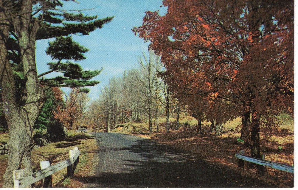 MAGNIFICENT AUTUMN - PC4706