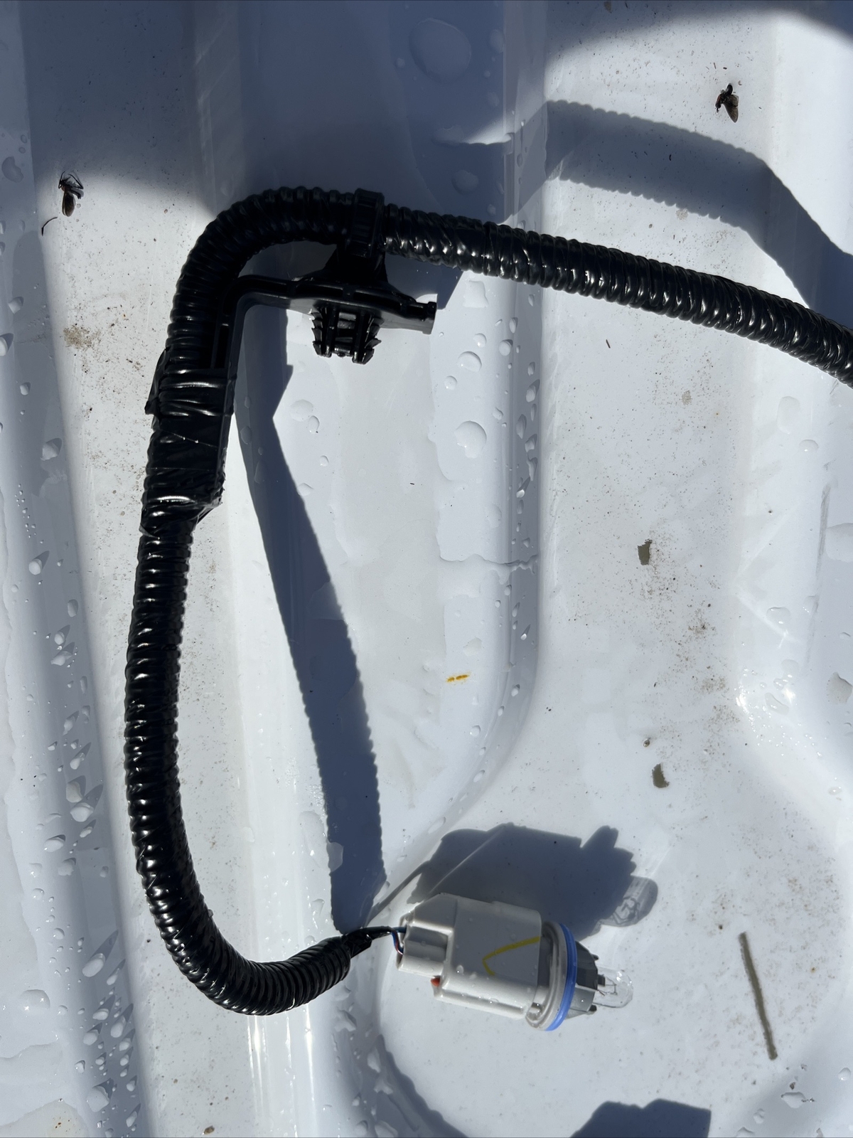 2017-2022 Ford OEM F250 F350 Rear Bumper License Plate Tag Light Wiring Harness