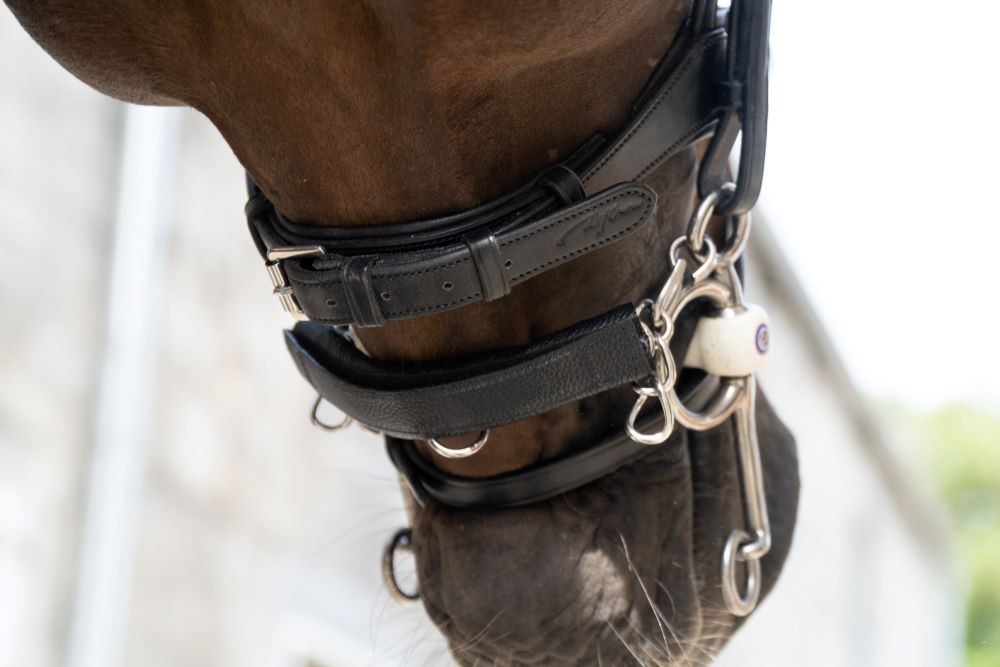 Dion Leather Chain Protector (with Nylon Insert)