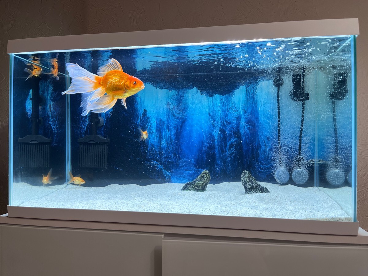 Aquarium Background Sticker, Underwater Caves Fish Tank Decorations Poster