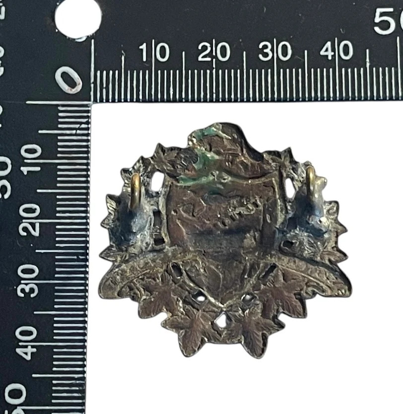 Saskatchewan Border Regiment Collar Badge