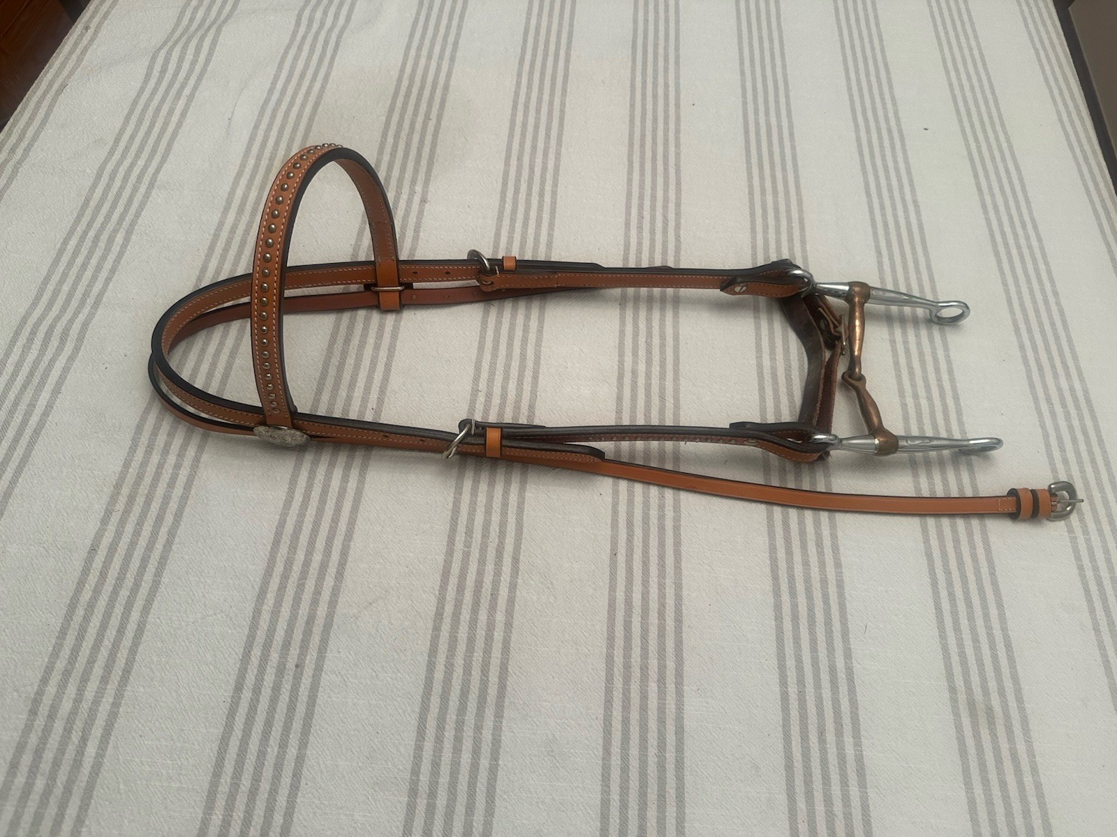 Vintage Champion Turf & Reins, Bridle leather Southwestern Style Silver Accent