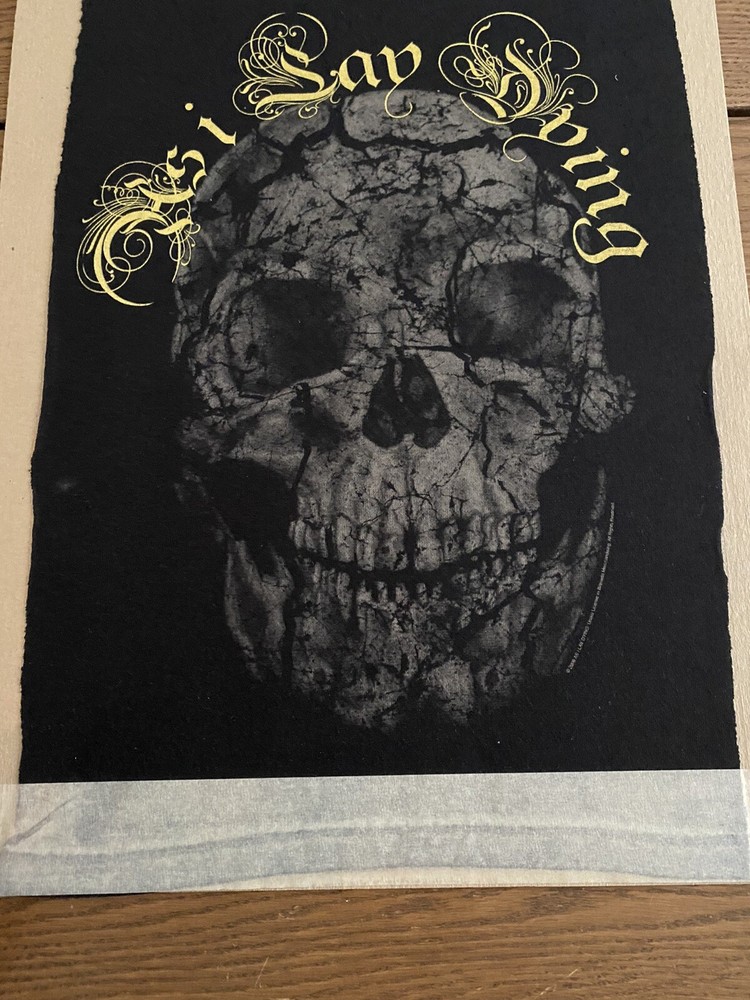 As I Lay Dying Skull test Silkscreen fabric 2008 14x19 inch original rare Patch
