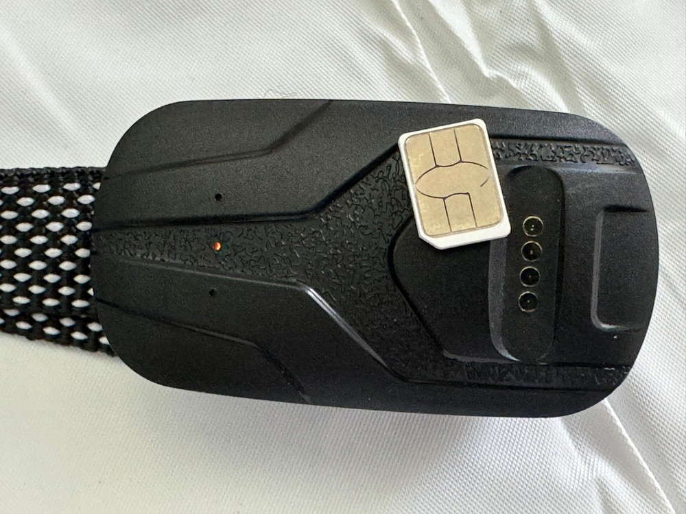 small pet gps tracker