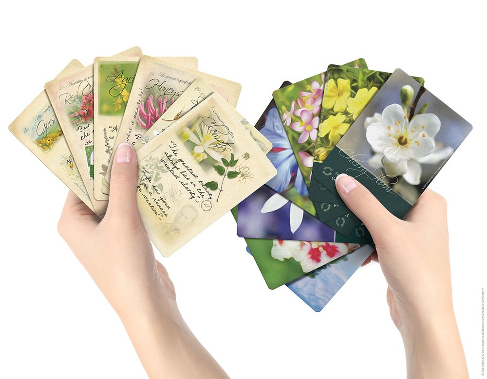 Bach Flower Divination Cards Pack 38 Beautiful illustrations, proverbs, quotes