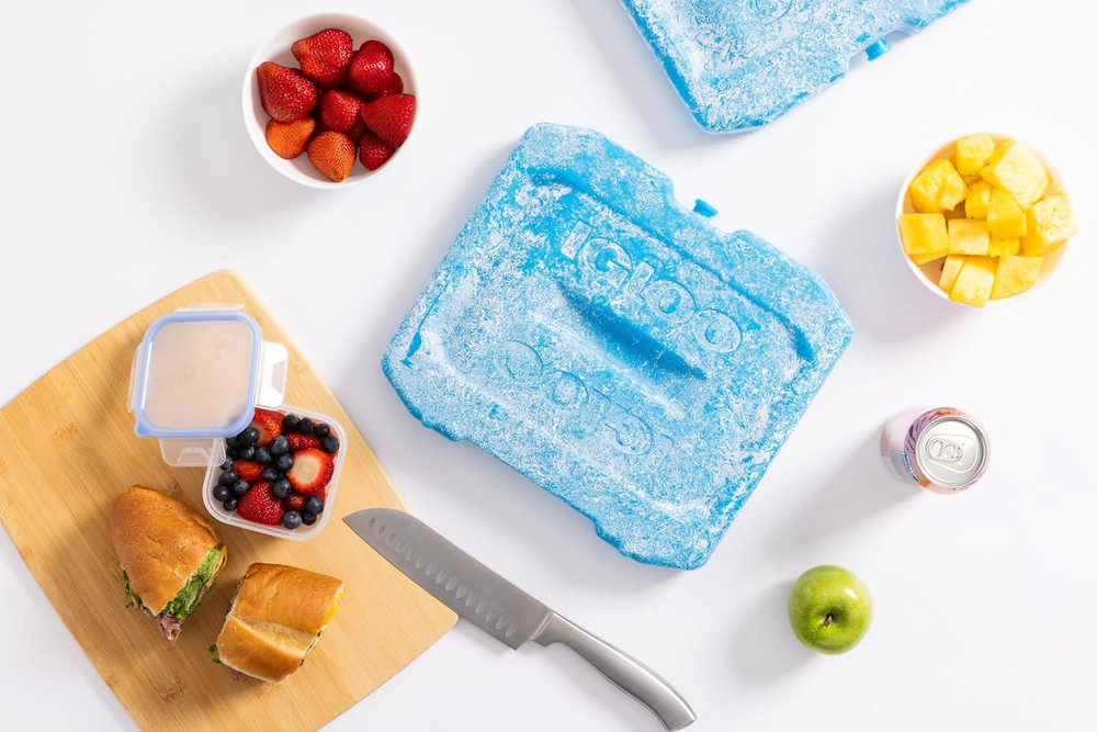 Maxcold Ice Block