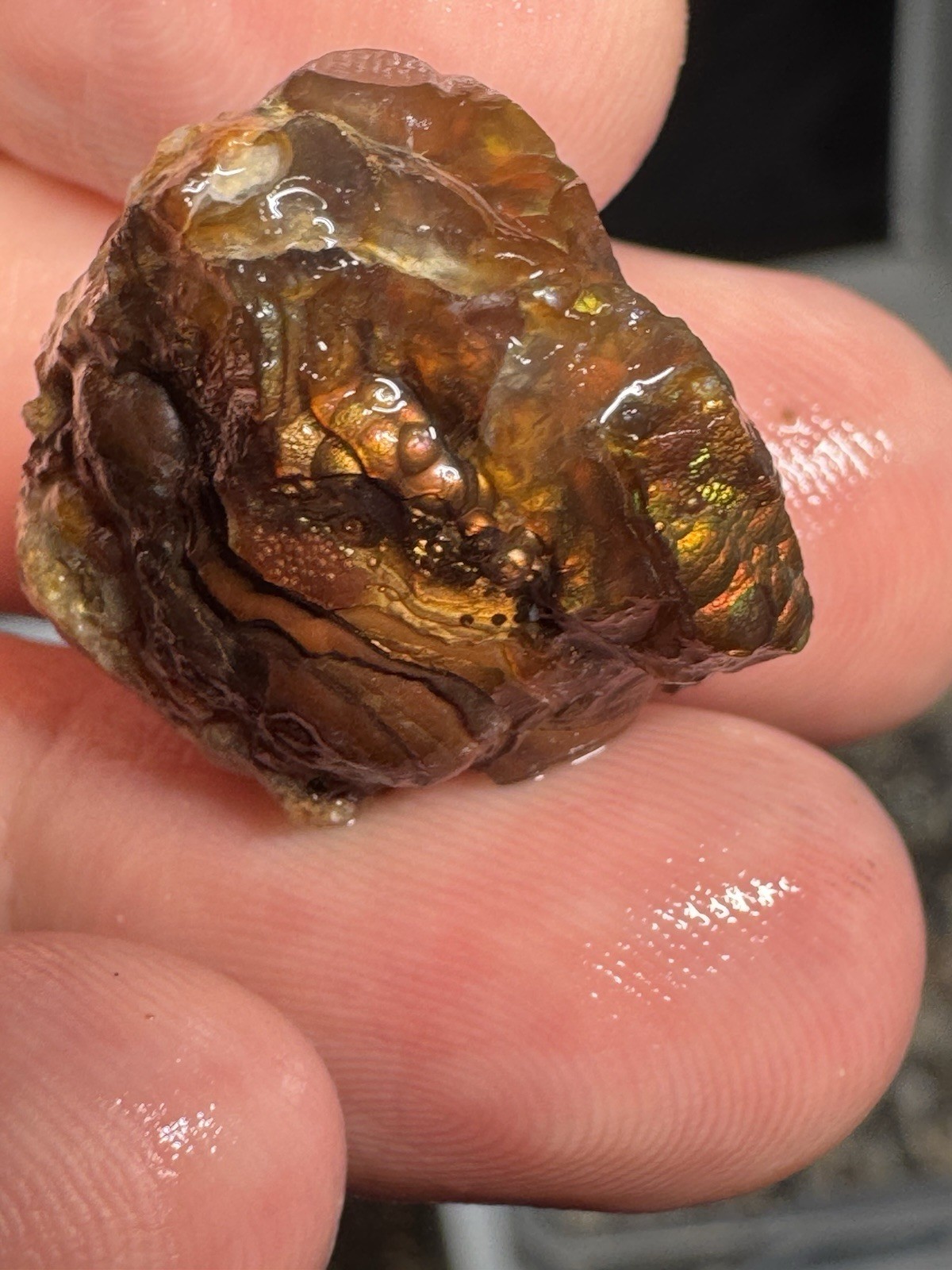 1/2 Lb Mid to Choice Grade Fire Agate Smalls Untreated Colorful Blind Grab Rough