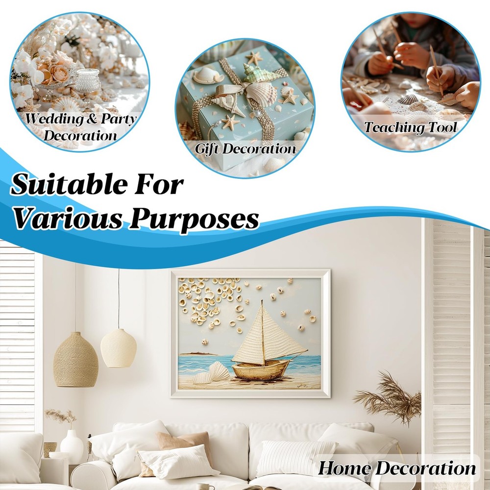 314-Grams Tiny Seashells for Crafts Small Mixed Ocean Beach Shells Bulk