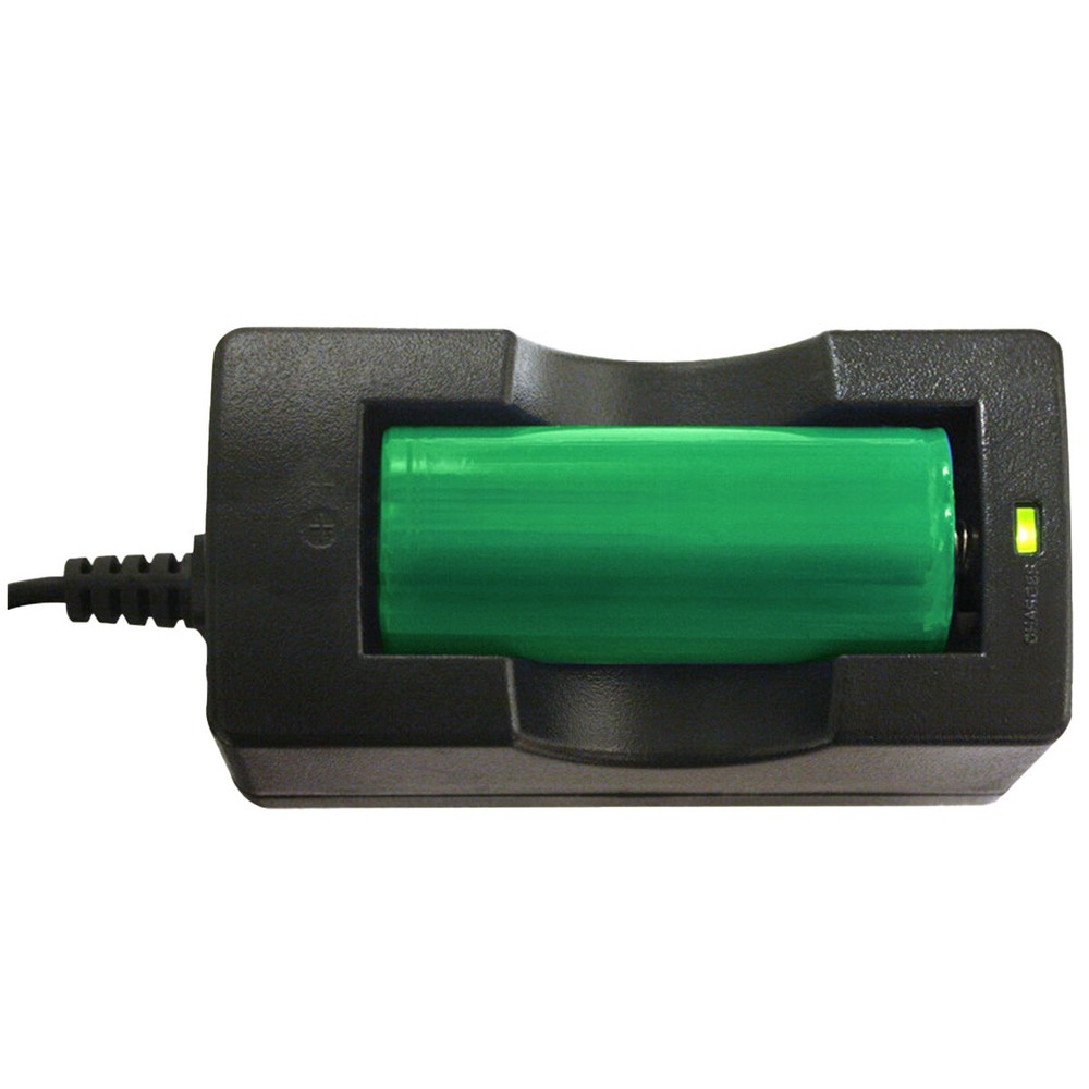 Bigblue 2900 Lumen Dual Beam Light