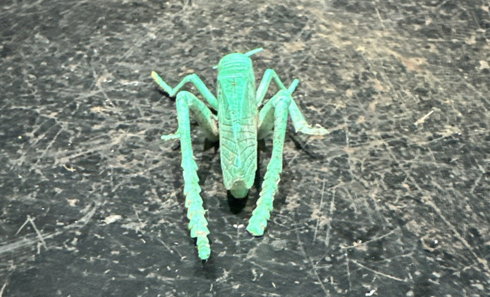 Faux / Pretend grasshopper Ref D9