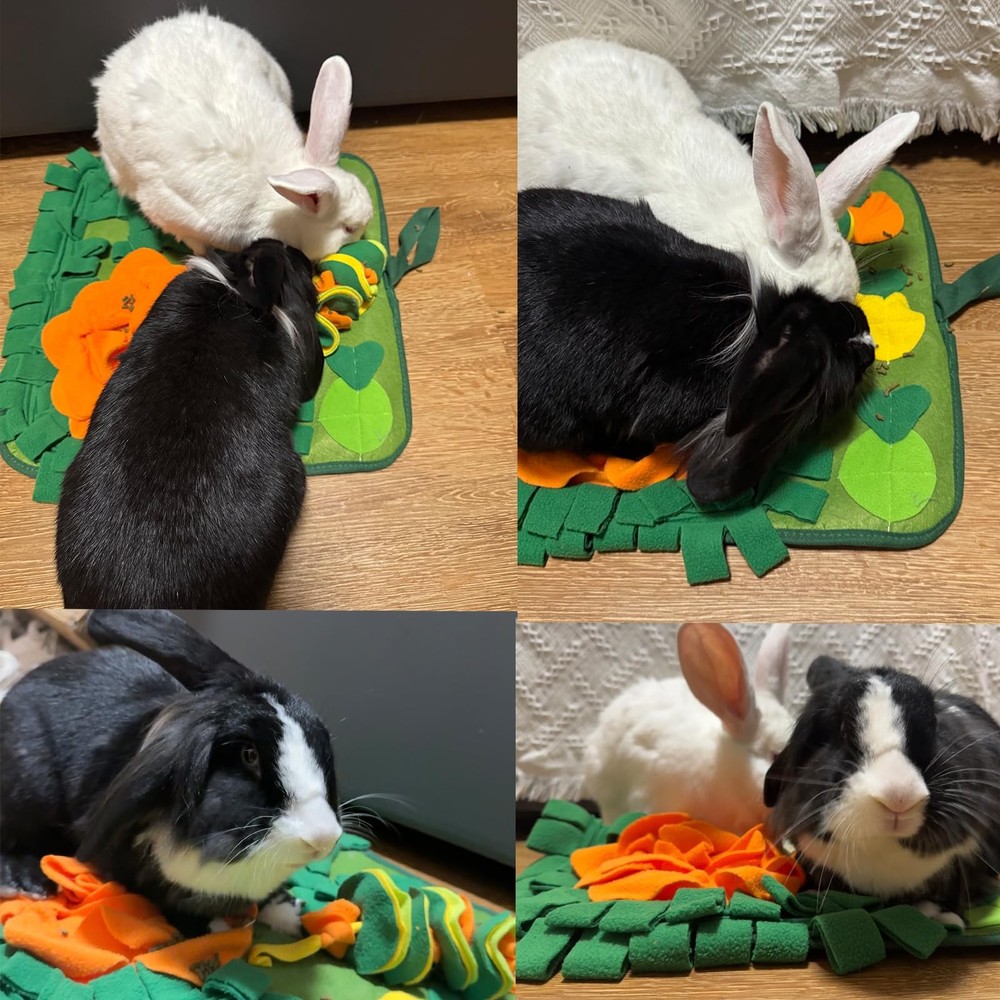 QMoveltyF Rabbit Foraging Mat Bunny Snuffle for Small Medium, Green