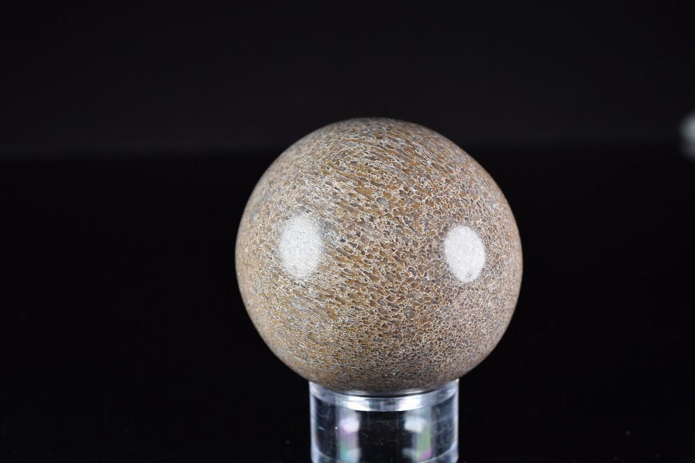Dinosaur Bone Sphere from Morocco 7.6 cm # 20121