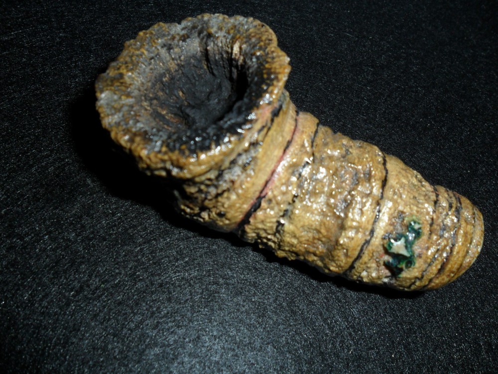 Fossilized Pipe