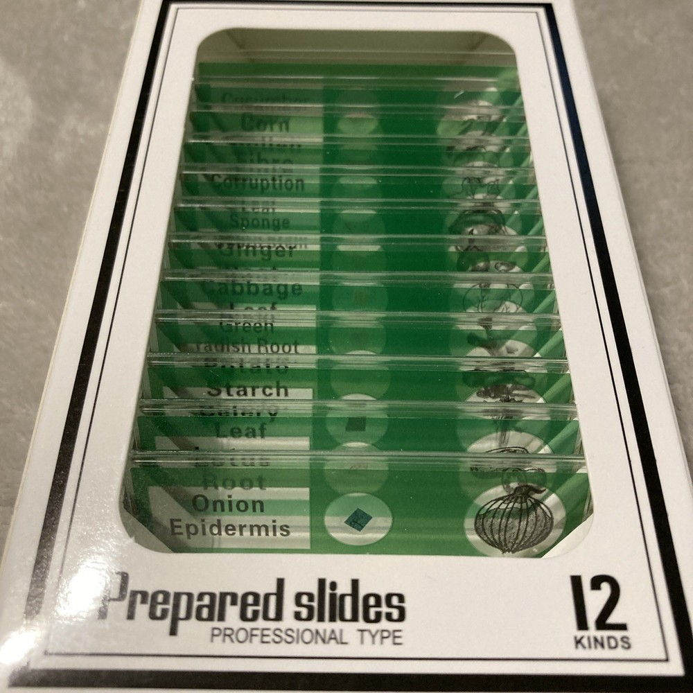 12pcs Prepared Microscope Slides for Kids Plants