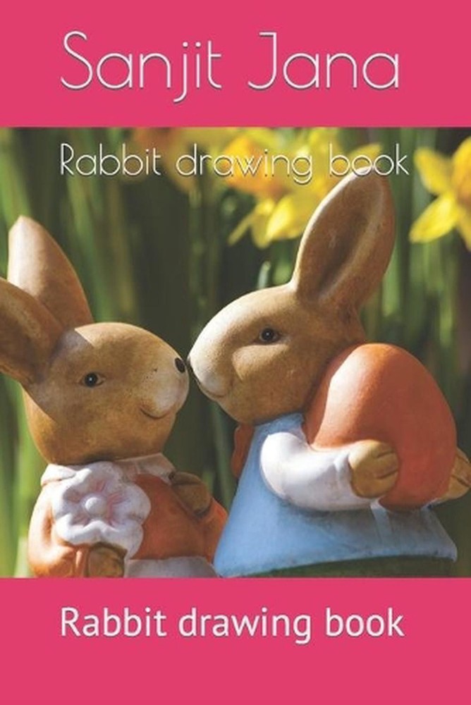 Rabbit drawing book