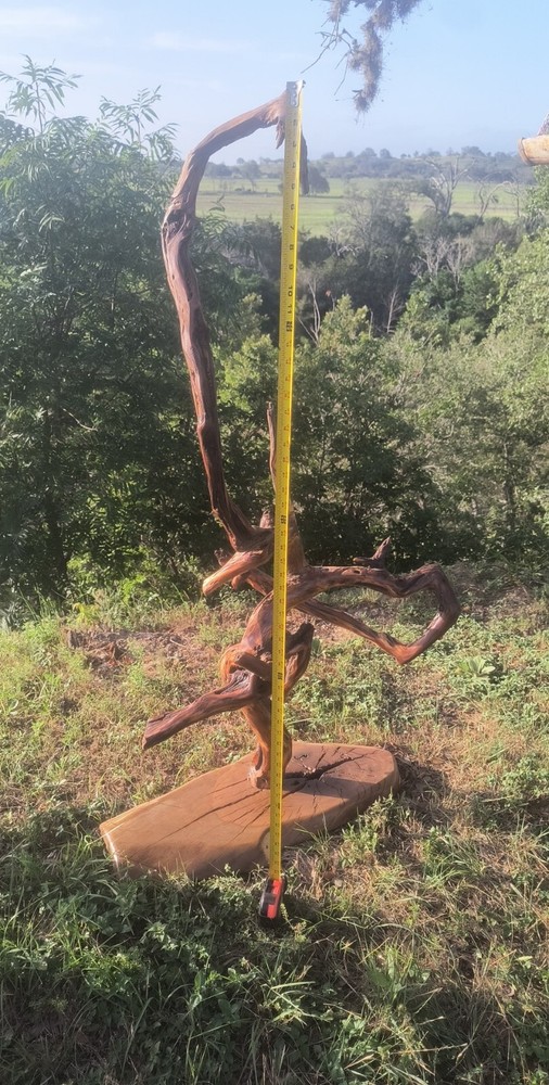 Taxidermy Display Pedestal