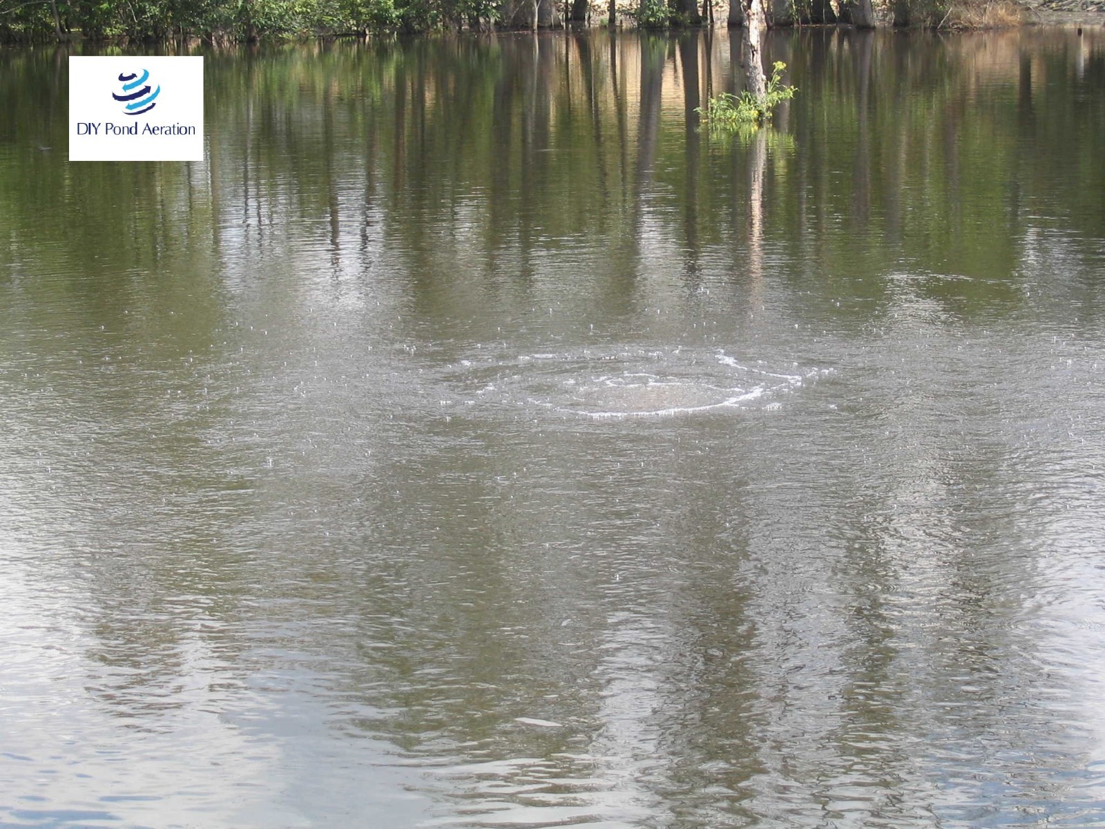 BIG MAX Fish Lake Pond Aerator System 3 RING Diffusers 100' Tube NEW 1/2hp PUMP