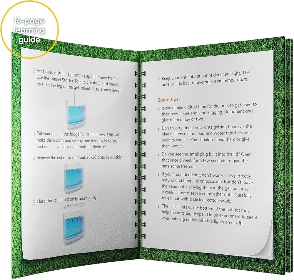 Interactive LED Ant Habitat for Children