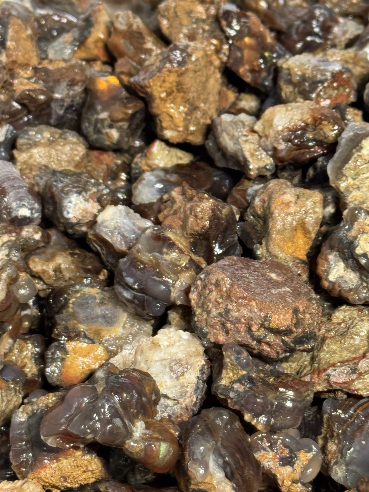 1/2 Lb Mid to Choice Grade Fire Agate Smalls Untreated Colorful Blind Grab Rough