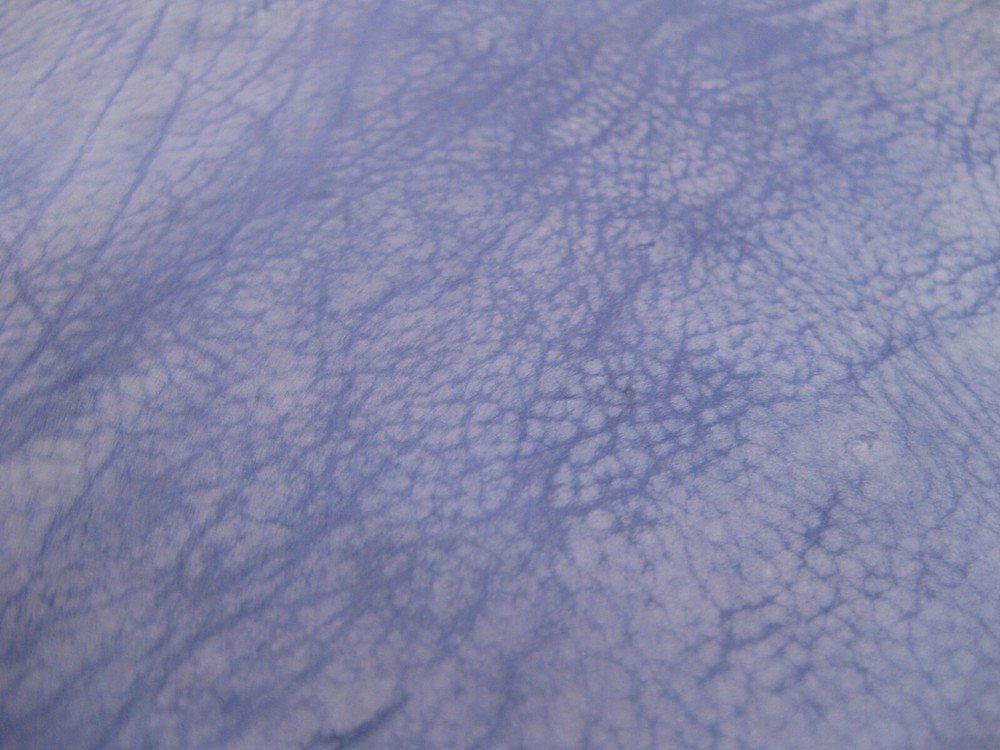 Buffed Buffalo Leather # 0012690 ROW 74