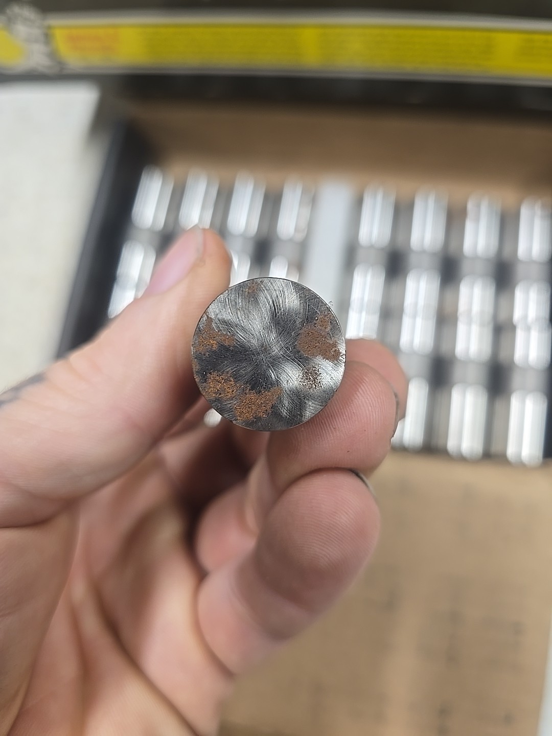 Rhoads 8178 Hydraulic Lifters for 1955-1986 Chevy SBC Chevrolet