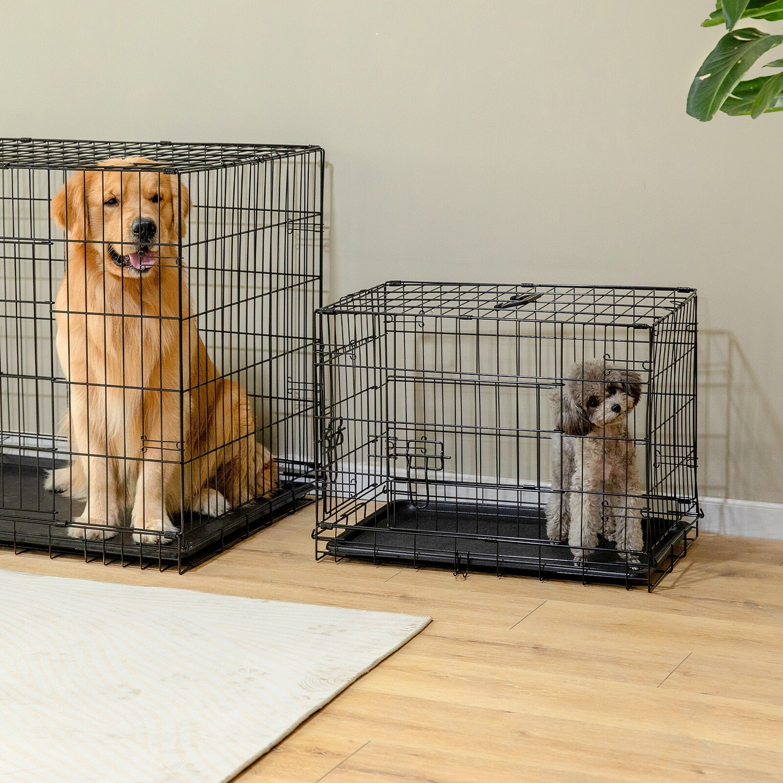 Double Door Dog Crate Pet Cage Removable Tray Divider Panel Wire Metal Kennel
