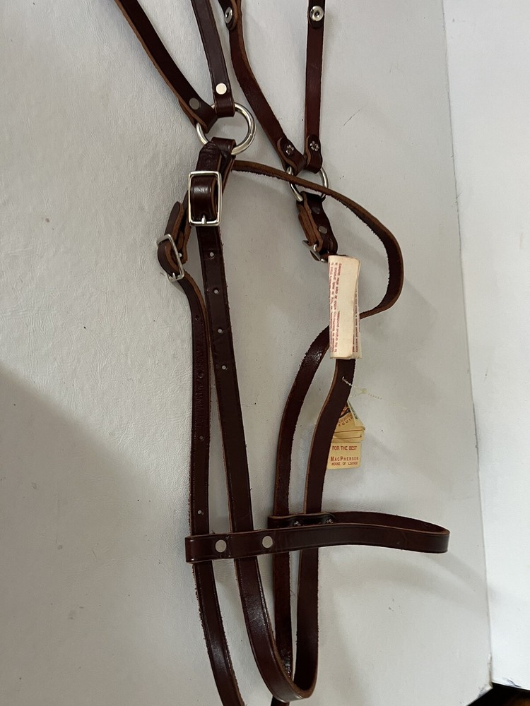 MacPherson Leather Horse Halter Band Headstall