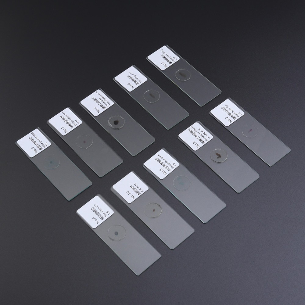 10 PCS/Set Animal Specimen Slides Microscope with Specimens Plants