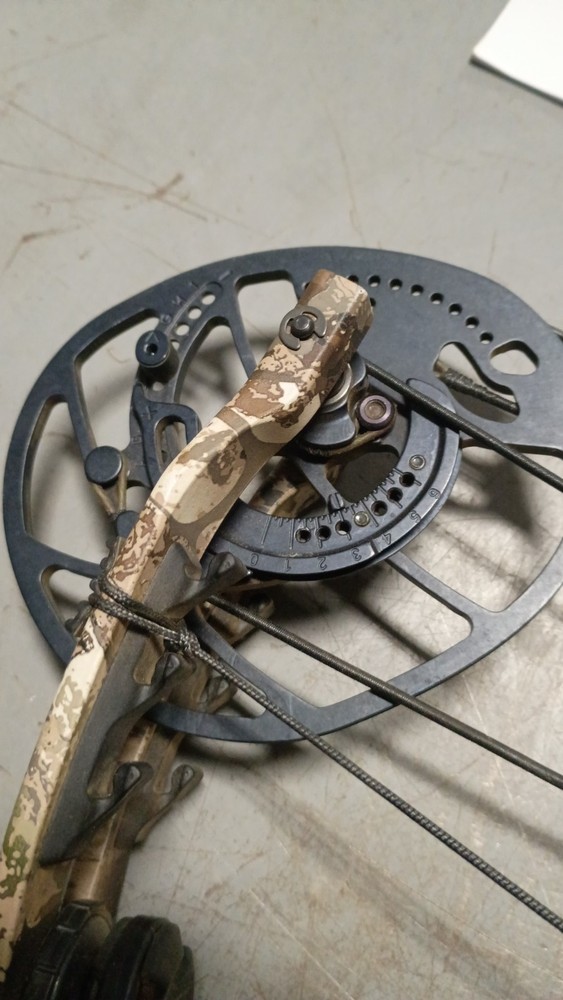 Bear Archery Divergent Eko Compund Bow