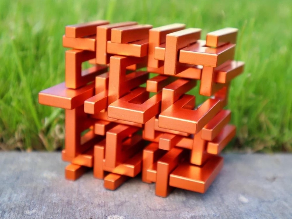 Dirty Dozen - Interlocking Brainteaser Metal Puzzle