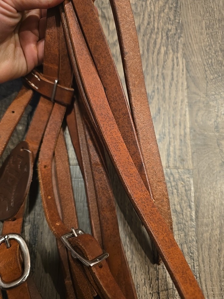 western bridle and reins