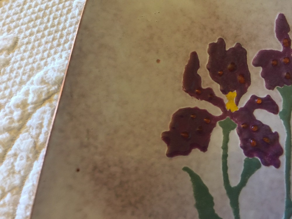 Enamel On Copper Bearded Iris Square Plate