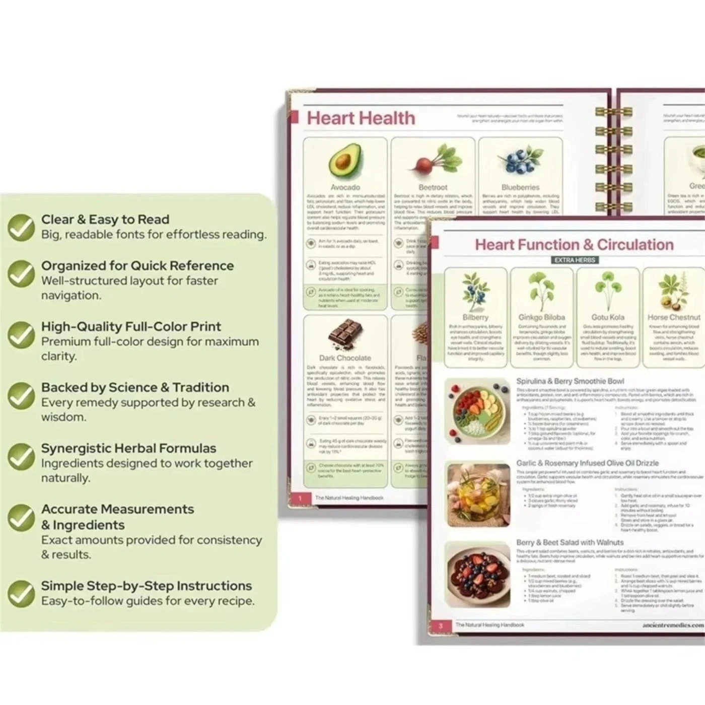 The Natural Healing Handbook, Spiral-Bound Guide For Herbal Remedies And Natural