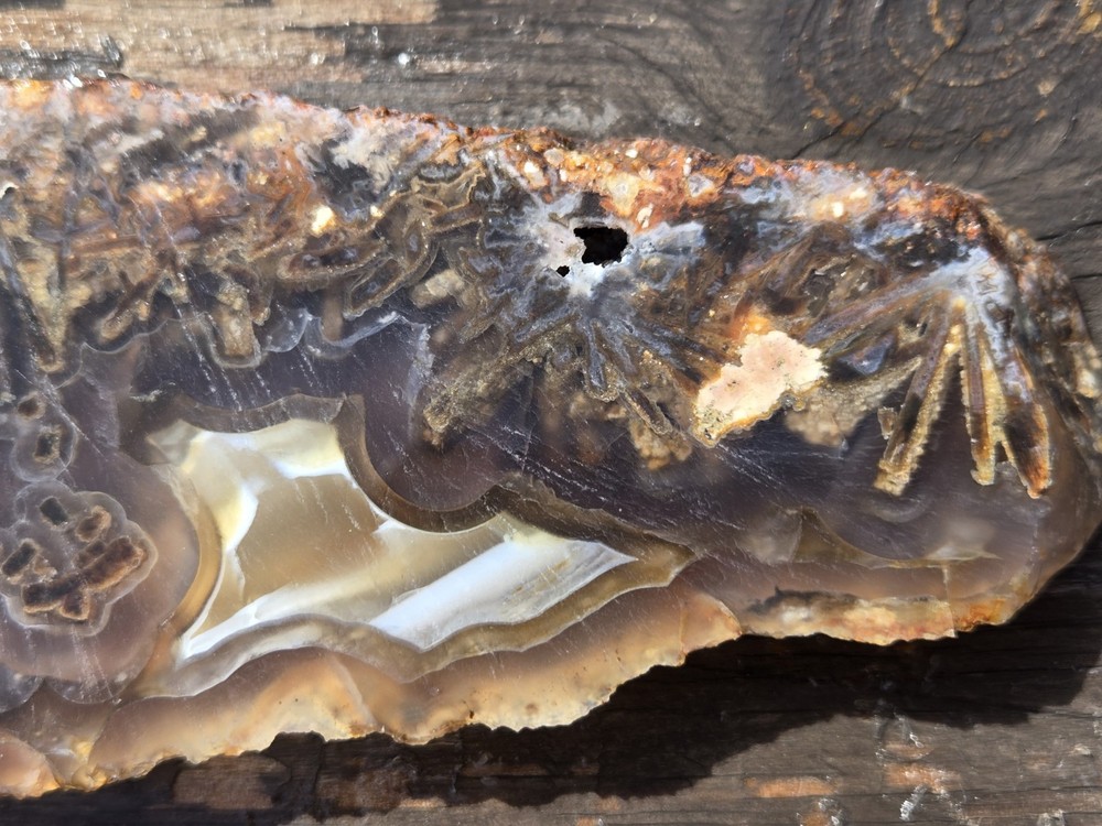 Turkish Agate Slab Slice Lapidary Unique