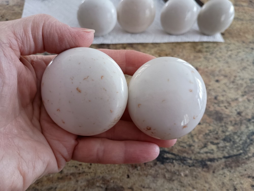 Vintage Ceramic Door Knobs, White Spotted/Speckled (Sold individually)