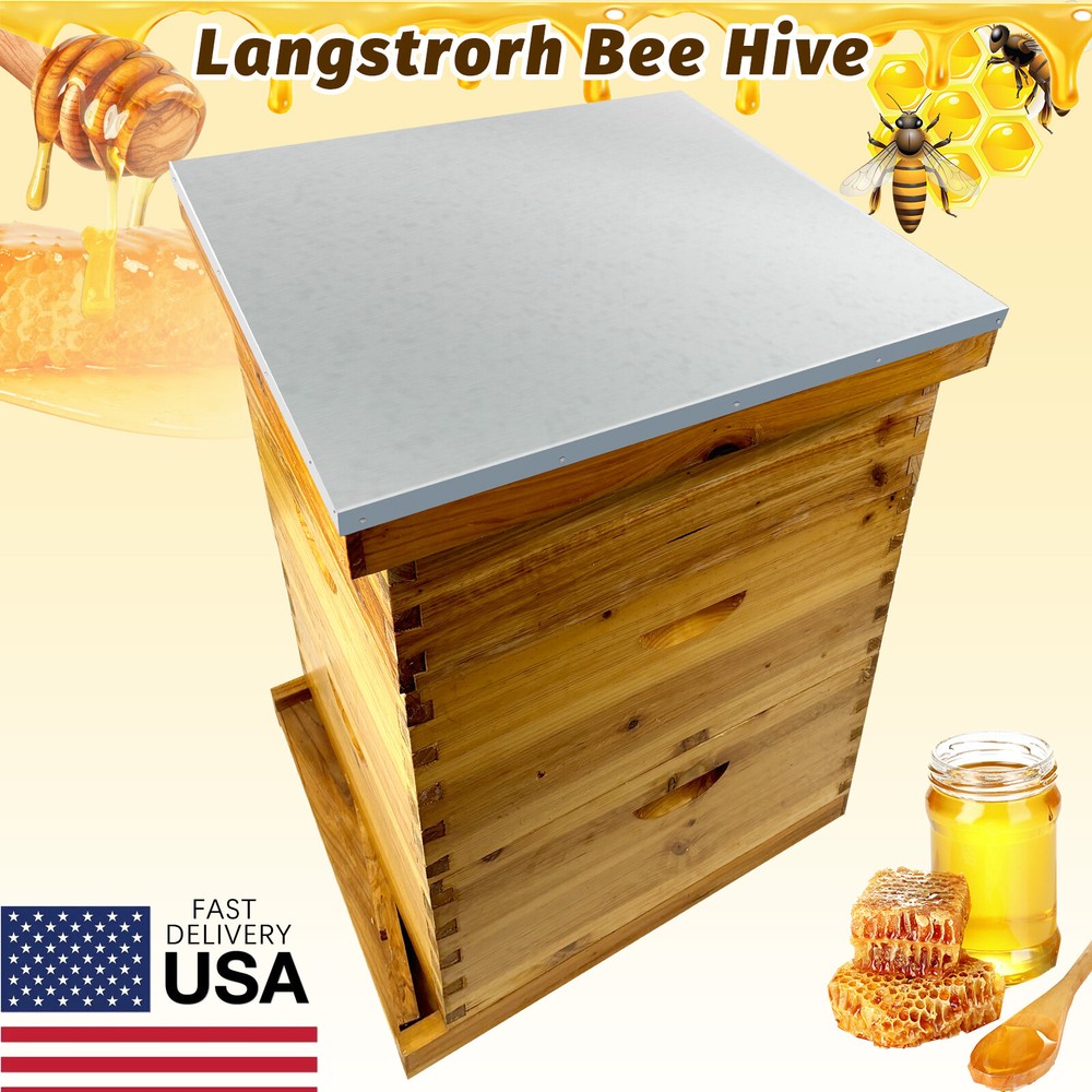 3-Layer Bee Hive Without Frames, Langstroth Beehive Kit  2 Deep 1 Medium