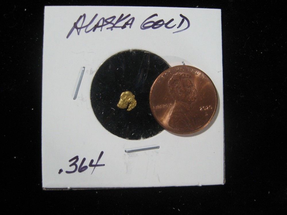 ALASKA GOLD  .364 GRAM